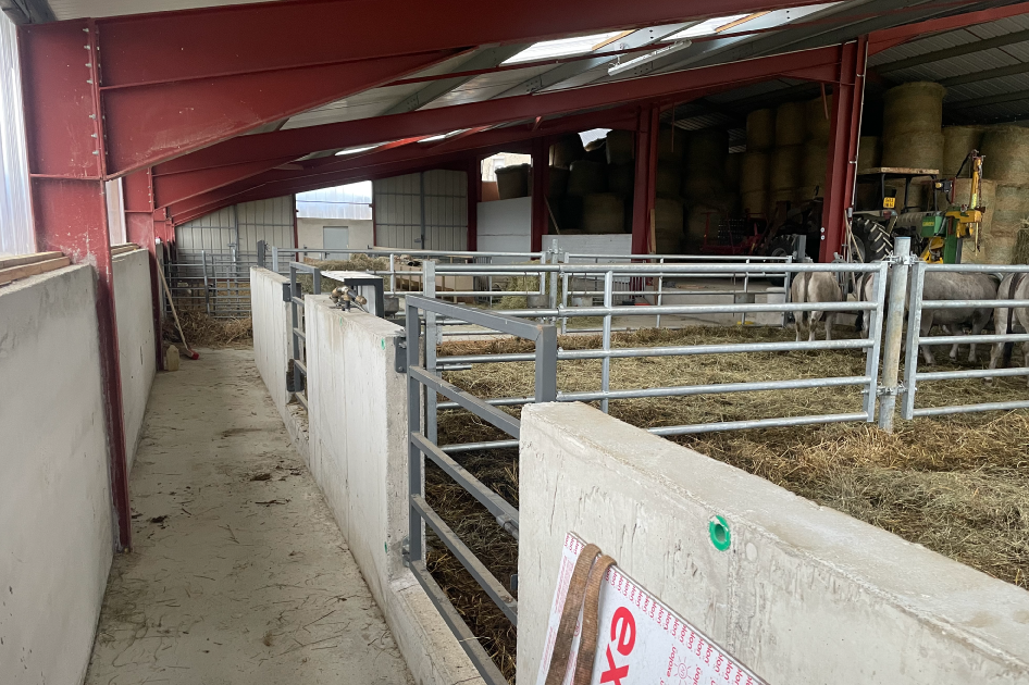 Charpentier Arudy, Charpentier Gan, Charpentier Sévignac-Meyracq, Charpentier Vallée d’Ossau, Fondations Arudy, Fondations Gan, Fondations Sévignac-Meyracq, Fondations Vallée d’Ossau, Génie civil Arudy, Génie civil Gan, Génie civil Sévignac-Meyracq, Génie civil Vallée d’Ossau, Maçonnerie Arudy, Maçonnerie Gan, Maçonnerie Sévignac-Meyracq, Maçonnerie Vallée d’Ossau, Rénovation bâtiment Arudy, Rénovation bâtiment Gan, Rénovation bâtiment Sévignac-Meyracq, Rénovation bâtiment Vallée d’Ossau